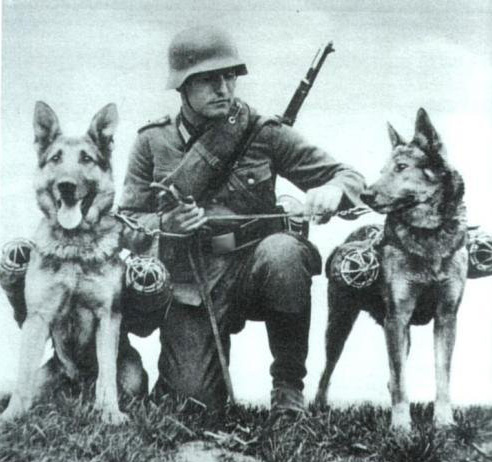 War Dogs